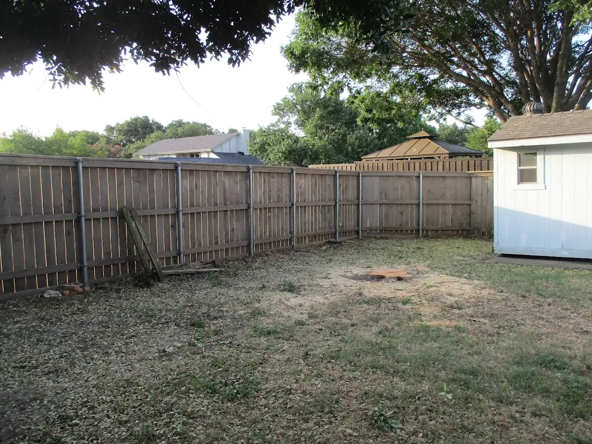 Cleared yard after professional tree removal in Spotswood
